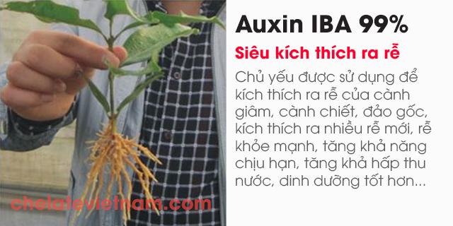 Auxin Indole-3-butyric acid (IBA 99%) (Siêu kích thích ra rễ)